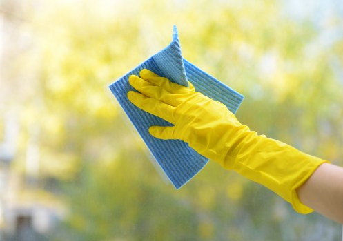 Stain removal service for a Brompton home interior