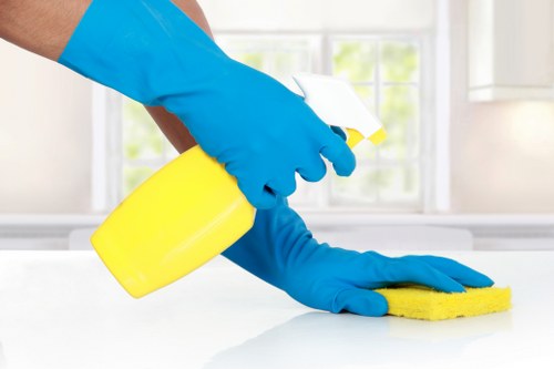 Cleaning carpet for pet stain odour removal
