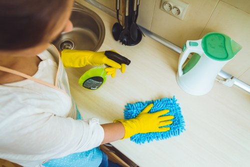 Enzyme cleaner used for fresh pet accidents