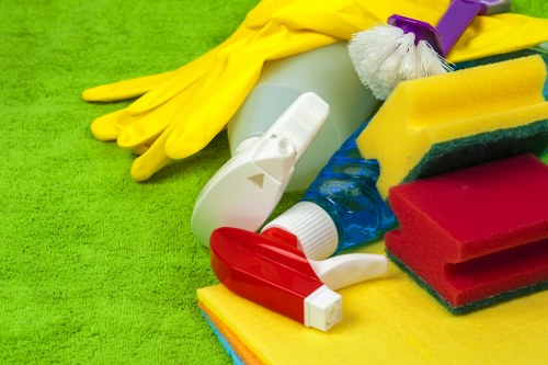 Professional rug cleaning in a bright living room