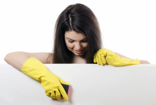 Stain removal and deep cleaning for fabric furniture