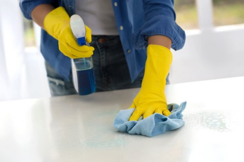 Pet stain odour removal on upholstery and rugs